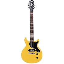Amazon | IYV 6弦 IP-350 TBK PRS ソリッドボディ エレキギター